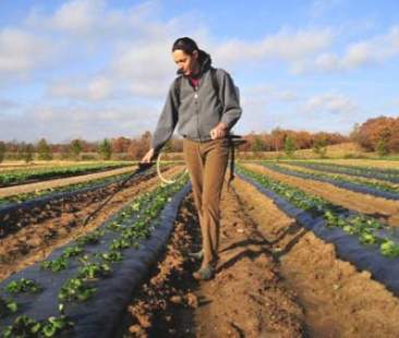 Dal Psr 2014-20 arrivano 235 mln per gli agricoltori sotto i 40