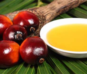 Controversia sull’olio di palma: la rivincita di Nutella su Delhaize