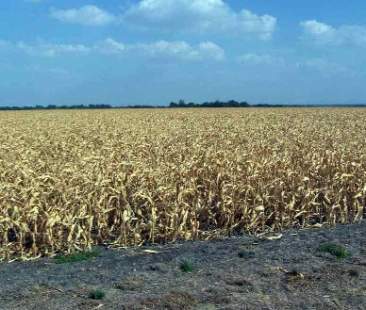 Per le campagne siciliane è emergenza acqua