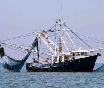 Mediterraneo, il mostro è l’uomo. Sicilia prima per pesca di frodo