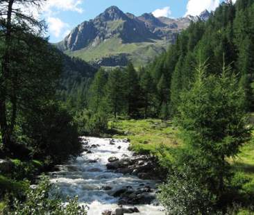 Parchi, la svolta della produttività ma in Sicilia è ancora un miraggio