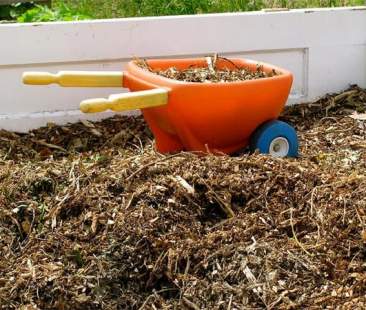 Carburante da scarti agricoli e ittici nel futuro del trasporto marittimo