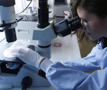 Mieloma multiplo, grazie alla ricerca vivere di più e meglio è possibile