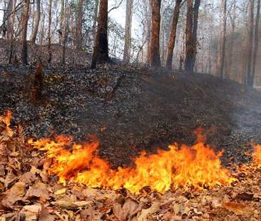 Un’altra giornata di fuoco paura a Sciacca e Giardini Un’altra giornata di fuoco paura a Sciacca e Giardini