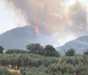 La Sicilia brucia e perde il suo tesoro La Sicilia brucia e perde il suo tesoro