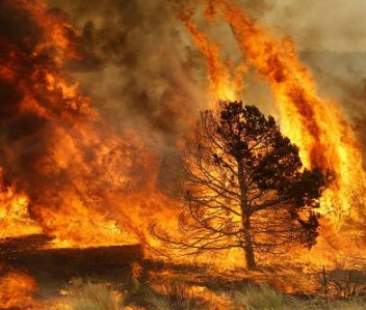 Incendi, fragili scuse di Crocetta