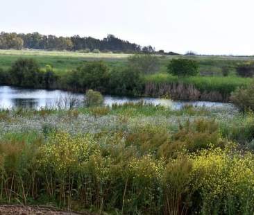 Catania – Oasi del Simeto, firmato protocollo per la difesa della riserva naturale