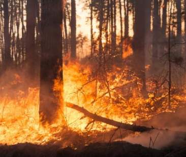 In Sicilia il malaffare nel cerchio dei roghi In Sicilia il malaffare nel cerchio dei roghi