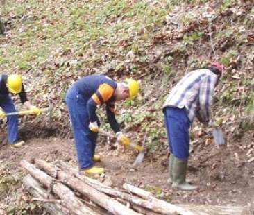 Sicilia, l’esercito dei precari, la Regione è “mamma” di tutti
