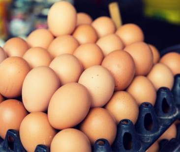 Le uova all’insetticida giunte in 15 Paesi Ue Le uova all’insetticida giunte in 15 Paesi Ue