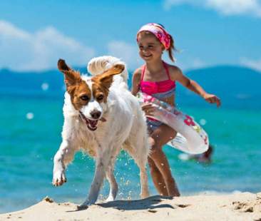 Amici a quattro zampe garantiti nel caso di incidenti in vacanza