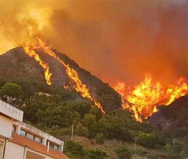Aree protette, distrutti dal fuoco oltre 11 mila ettari in Sicilia