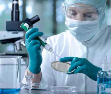 Il petrolio e la chimica reggono il valore dell’export della Sicilia