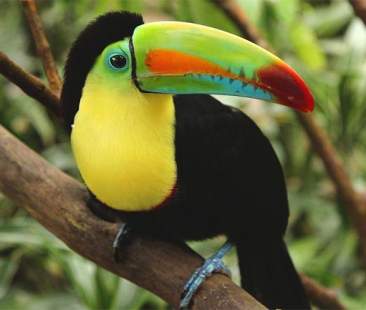 Le opportunità del turismo sostenibile Le opportunità del turismo sostenibile