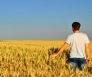 Agricoltura: morìa d’imprese under 35