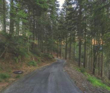 La filiera del legno contro i rischi naturali