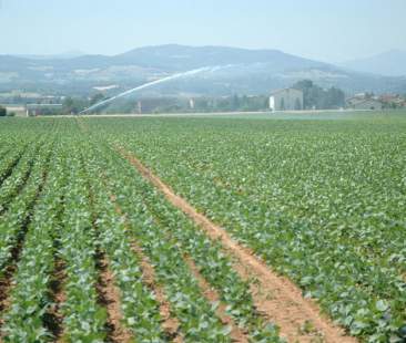 In Sicilia Consorzi di bonifica indebitati