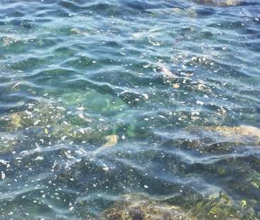 Inquinamento del mare, in Sicilia la metà delle infrazioni italiane