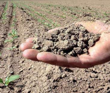 Siccità, in Sicilia parte la conta dei danni Siccità, in Sicilia parte la conta dei danni