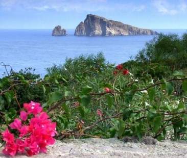 Biodiversità, le 93 meraviglie che rendono unica la Sicilia