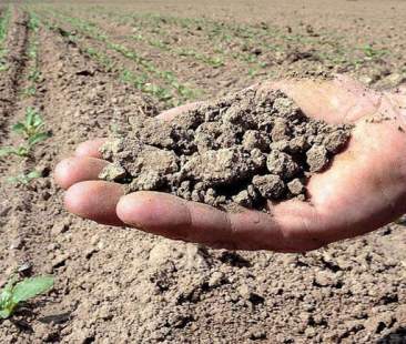 Siccità e mutamenti climatici: occorre piano di prevenzione