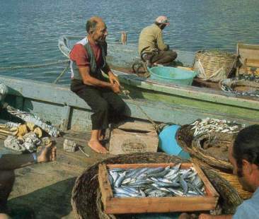 Pesca, le novità della riforma