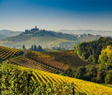 Langhe e Roero, terra di vigneti e di colline prediletta dai più famosi gourmet del mondo
