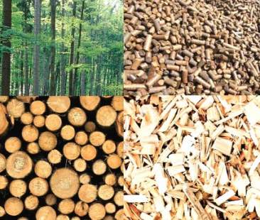 Allarme biomasse, tra ecologia e inquinamento atmosferico