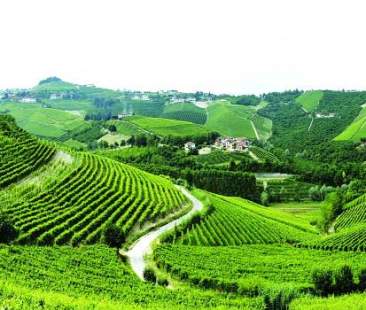 Otto milioni a fondo perduto per l’agricoltura sostenibile