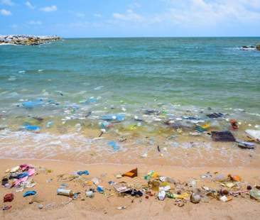 In Sicilia si va a pesca di plastica In Sicilia si va a pesca di plastica