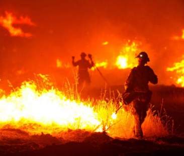 Aree protette andate in fumo. Al via il piano di riforestazione
