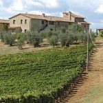 Gal, si riparte in Sicilia: primi finanziamenti