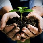 Agroalimentare, settore giovane in Sicilia