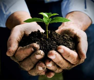 Agroalimentare, settore giovane in Sicilia
