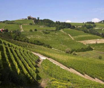 Sicilia, bando per la valorizzazione delle zone rurali