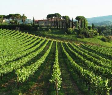 L’agricoltura fa da traino in Sicilia meglio di industria e servizi