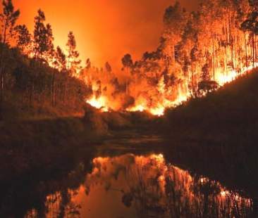 Cambiamenti climatici e incendi. Regione siciliana e Comuni fuorilegge