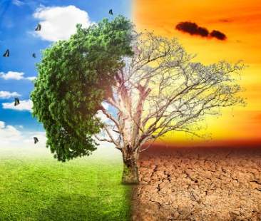 La metafora calcistica usata per spiegare il climate change