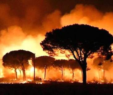 Rapporto Verdi: danni complessivi da 2,5 mld in Italia tra ripristino e spegnimento