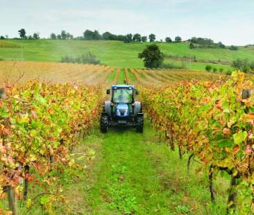 Sostegno alle aziende agricole: uscite le graduatorie per i fondi Sostegno alle aziende agricole: uscite le graduatorie per i fondi