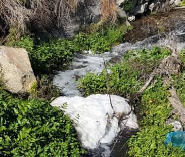 Depuratore di Adrano, M5s denuncia un disastro ambientale Depuratore di Adrano, M5s denuncia un disastro ambientale