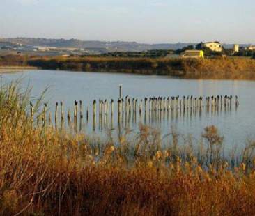 A Gela sequestrati 3000 mq di pattumiera a cielo aperto