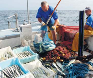 La guerra del pesce e una “zona blu” nel Mediterraneo