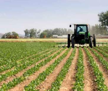 Terreni a tasso agevolato per i giovani agricoltori Terreni a tasso agevolato per i giovani agricoltori