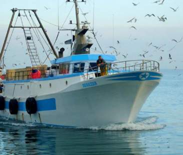 Pesca, una “zona blu” nel Mediterraneo Pesca, una “zona blu” nel Mediterraneo