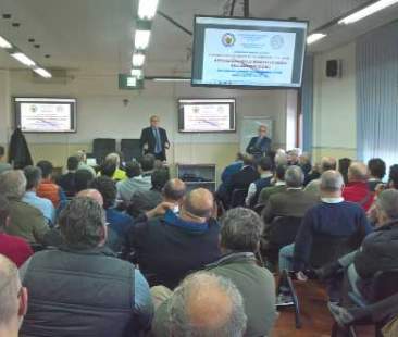 Professione geometra, funzioni e peculiarità