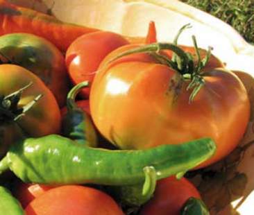 L’UNCI a Palermo: “Coltivare il futuro”