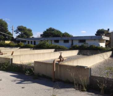 I rifiuti raccolti dai volontari finiscono vicino al depuratore