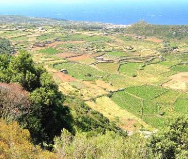 Ambiente, altro flop per la Sicilia. L’Istat ci boccia in tutti gli indicatori