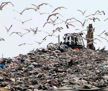 Corte dei Conti: “Rifiuti, in Sicilia quadro preoccupante”